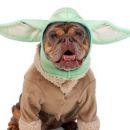 Don't Forget the Dog: Grogu Logo
