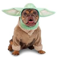 Don't Forget the Dog: Grogu