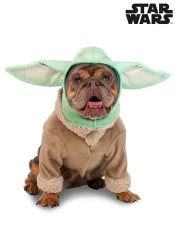 Don't Forget the Dog: Grogu