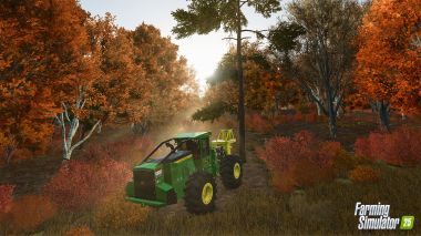 Farming Simulator 25 12