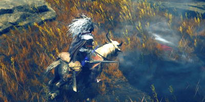 Elden Ring's DLC garners a 'mixed' reception on Steam amidst complaints from PC gamers about challenging gameplay and technical execution